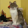 Отзыв от Динара Владимирова